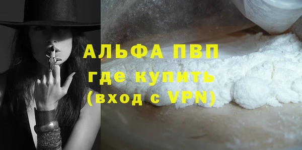 гидра Алексин