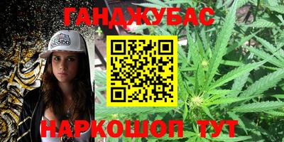 прущие грибы Обь